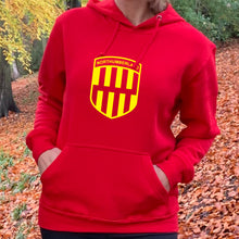 Load image into Gallery viewer, hoodie