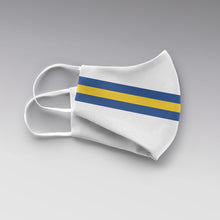 Load image into Gallery viewer, leeds-stripes-2

